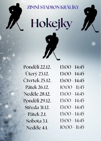 hokejky-stranky.jpeg